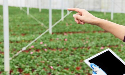 J9国际站|集团官网