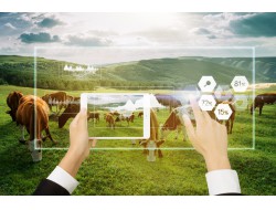 J9国际站|集团官网